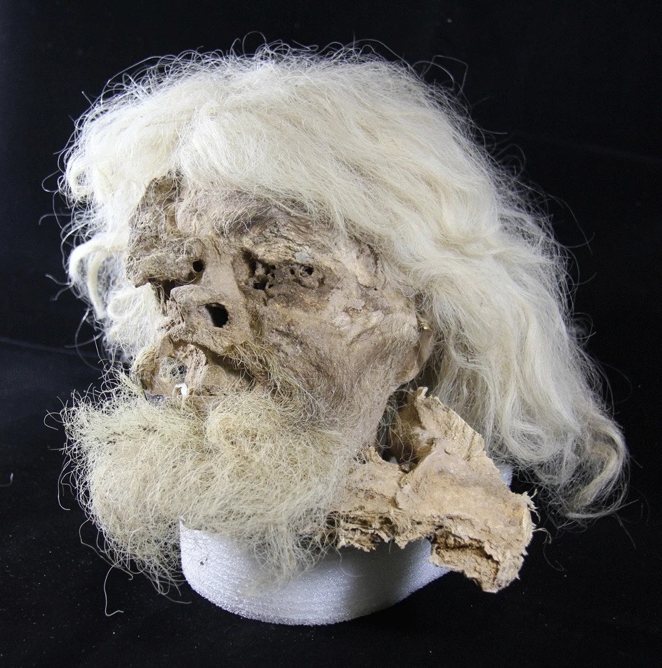 Severed and mummified head of saltman 1 Severed and mummified head of saltman 1