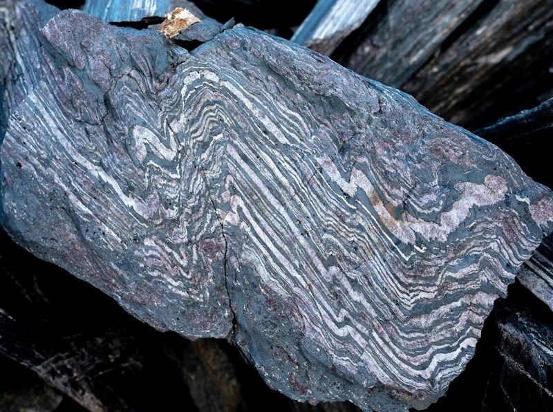 Banded iron formations in 3.7-billion-year-old rocks from the Isua Supracrustal Belt in Greenland have been distorted but not destroyed by the passage of time.
