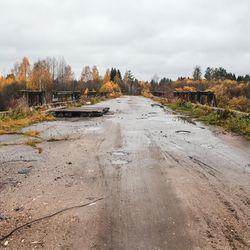 A photo of an abandoned bridge leading into the ghost town of Centralia where coal fires have been burning since 1962. The road is damp from rain and has pot holes, plant growth and debris covering it. The sides of the bridge have autumn trees of various shades of yellow and brown and the sky is a thick grey.