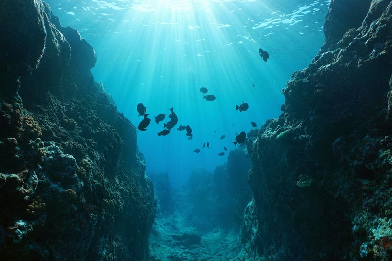 Challenger Deep