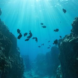 Challenger Deep