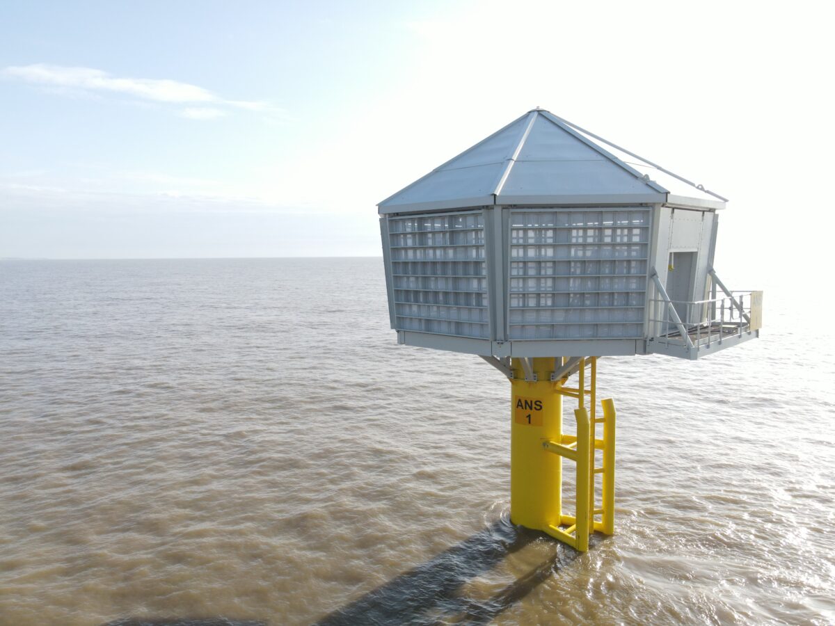 Another glimpse of Red7Marine's artificial nesting structures Another glimpse of Red7Marine's artificial nesting structures