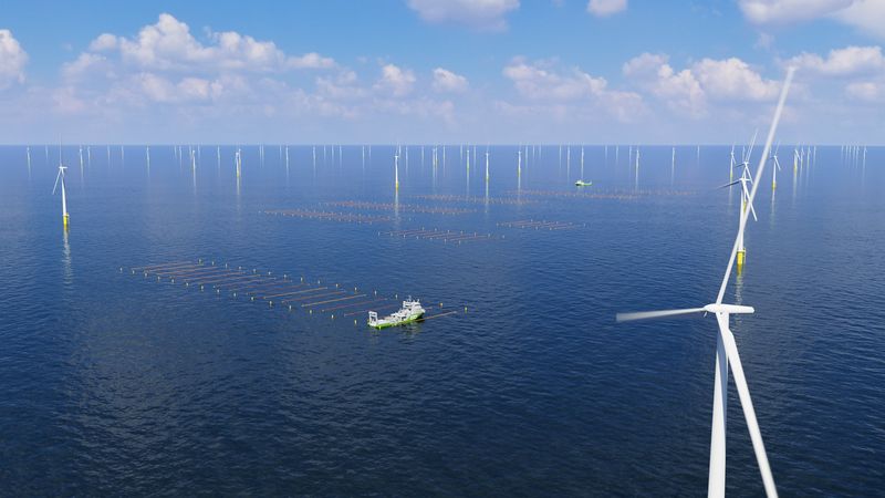 Work to set up the seaweed farm in the North SEa at Hollandse Kust Zuid begins.