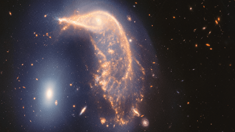 Arp 142, two interacting galaxies, observed in near- and mid-infrared light. At left is NGC 2937, nicknamed the Egg. Its center is the brighter and whiter. There are six diffraction spikes atop its gauzy blue layers. At right is NGC 2936, nicknamed the Penguin. Its beak-like region points toward and above the Egg. Where the eye would be is a small, opaque yellow spiral. The Penguin’s distorted arms form the bird’s beak, back, and tail. The tail is wide and layered, like a beta fish’s tail. A semi-transparent blue hue traces the Penguin and extends from the galaxy, creating an upside-down U over top of both galaxies.