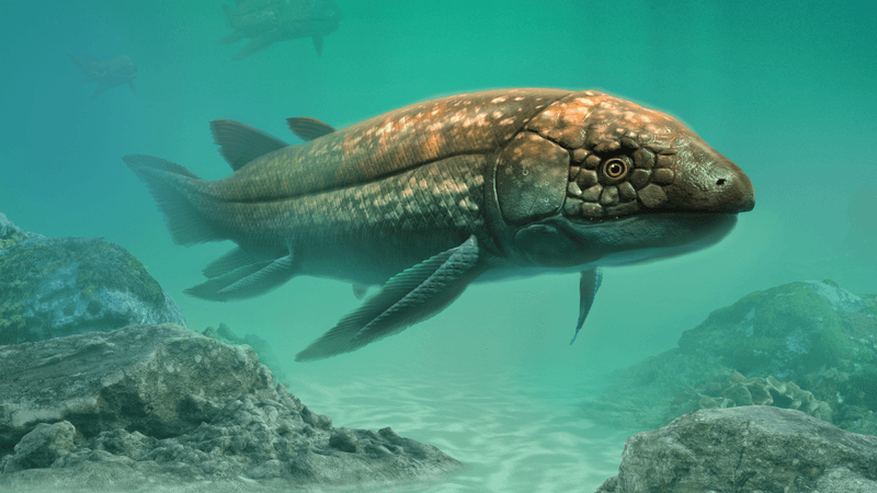 an ancient lungfish swimming in prehistoric waters