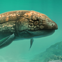 an ancient lungfish swimming in prehistoric waters