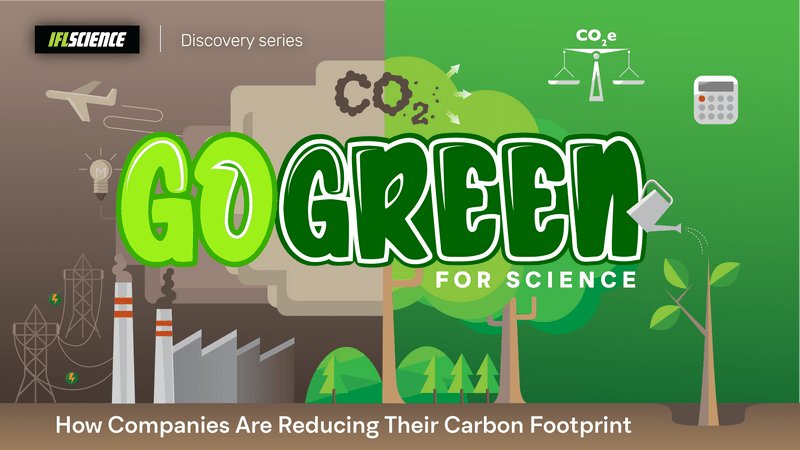 go green for science IFLS Discovery Series trees calculator watering can how companies are reducing their carbon footprint