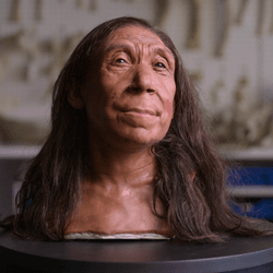 Shanidar Neanderthal woman face