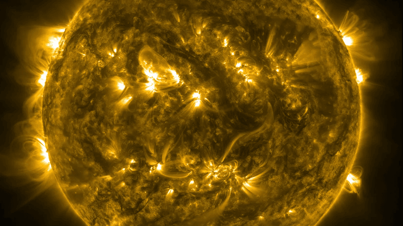 A picutre of the sun in ultraviolet. There are a lot of active regions with arcs of plasma leaving and coming back to the surface